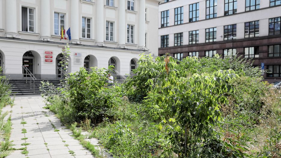 Warszawa. Urząd Dzielnicy Warszawa Śródmieście 