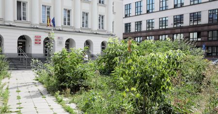 Warszawa. Śródmieście wspiera dzieci z niepełnosprawnościami. "Będziemy stołecznym liderem"