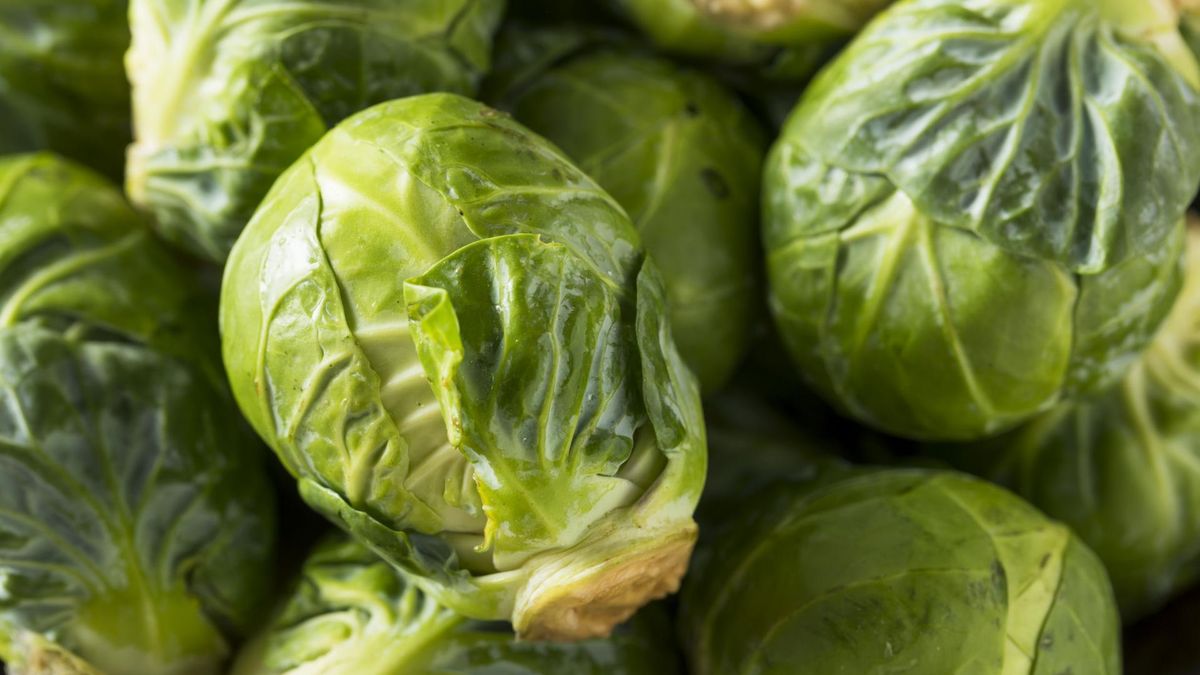 Była zmorą z dzieciństwa większości z nas. Rozgotowana, gorzka i niesmaczna – tak większość z nas pamięta ją z tamtych czasów