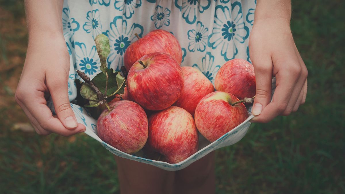 Podczas postu Daniela można jeść jabłka