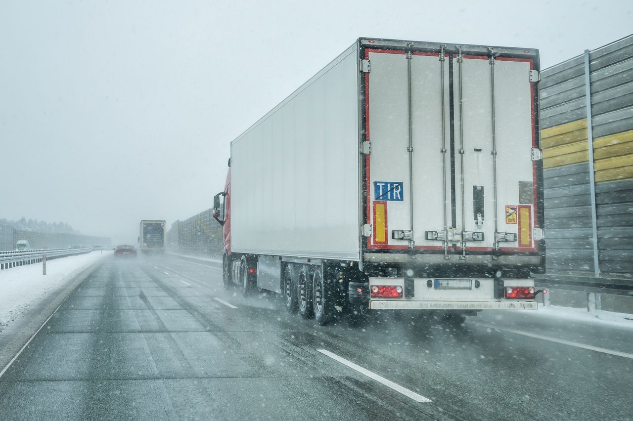 Martwe owady i odchody. To znaleziono w transporcie żywności z Rosji