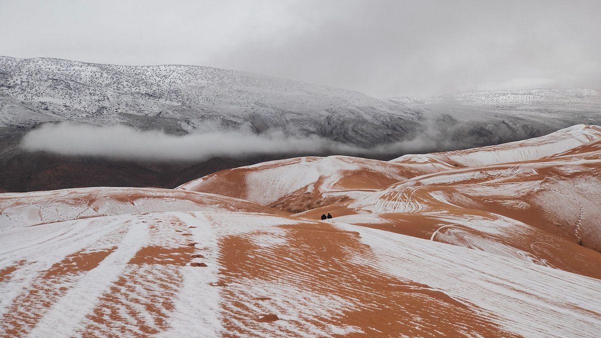 Śnieg na Saharze to rzadkie zjawisko