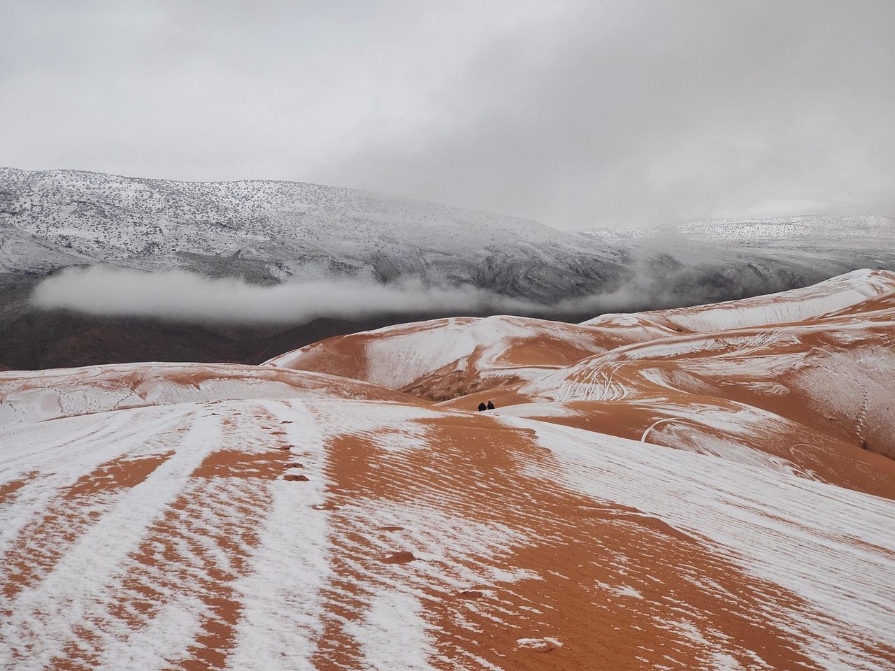 Śnieg na Saharze. Surrealistyczne obrazki z największej pustyni świata