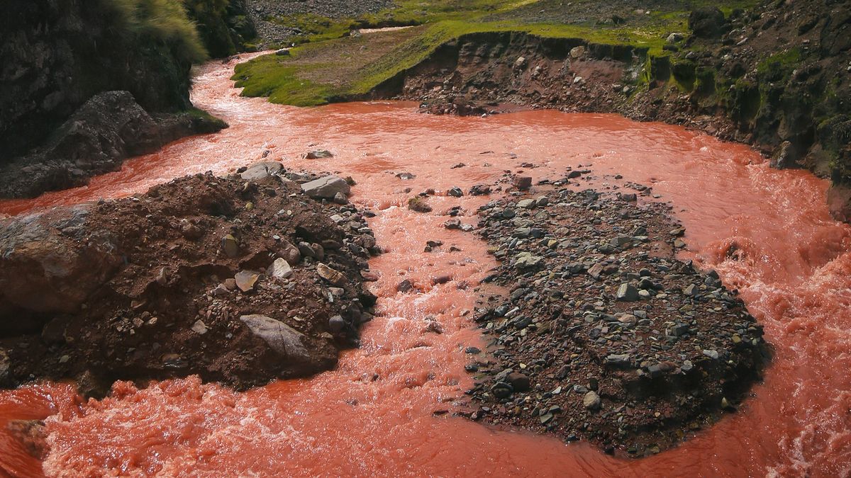 Trzeba przyznać, że kolor robi wrażenie