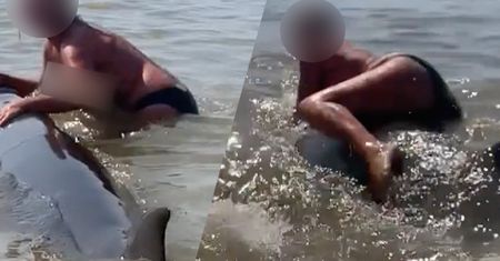 Weszła na grzbiet wieloryba. Kobieta trafiła do aresztu