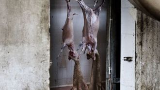 Sony World Photography Awards 2010 - znamy zwycięzców [GALERIA] 1