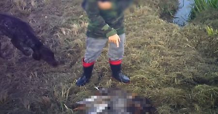 "Filip, policz głowy". Burza wokół nagrania z Grębowa