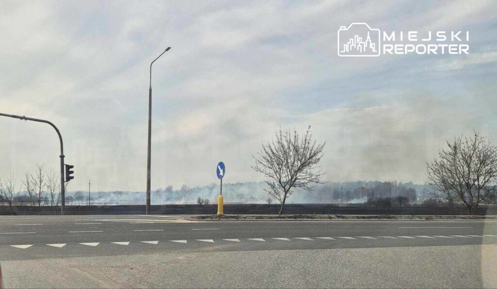 Potężny pożar nieużytków pod Radomiem. Ogień się rozprzestrzenia