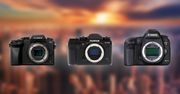 Matryce cyfrowe: Mikro Cztery Trzecie, APS-C i Pełna klatka. Która jest najlepsza?