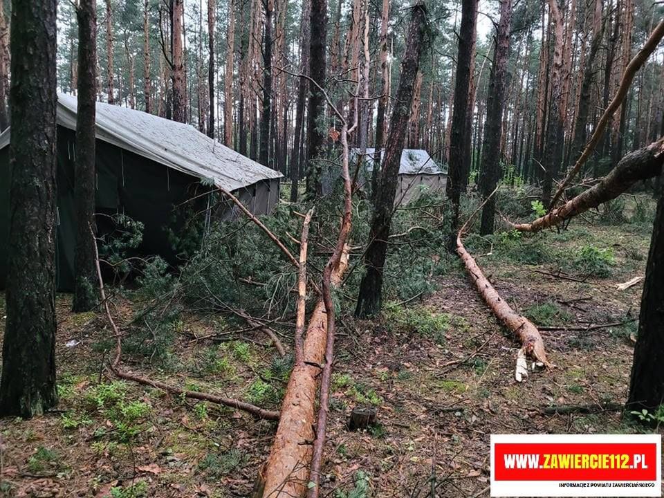 Połamane gałęzie i przewrócone drzewa na terenie obozu w Kostkowicach