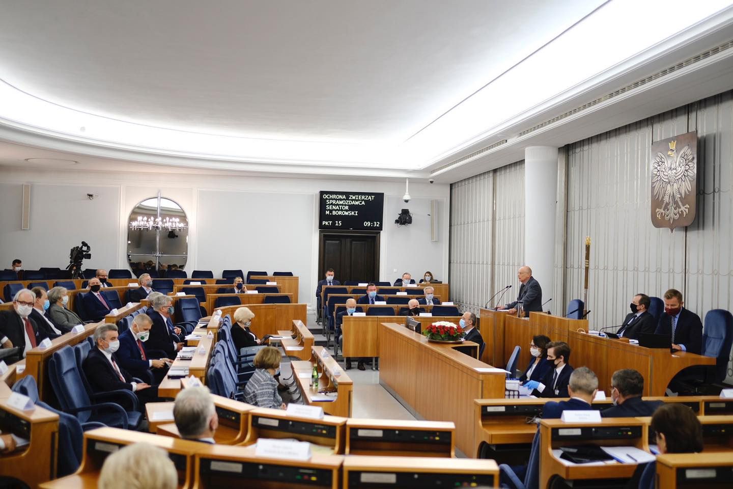 "Piątka dla zwierząt". Senat debatuje nad nowelizacją ustawy