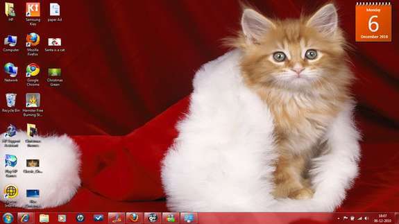 Christmas Kitten (Fot. NirmalTV.com)