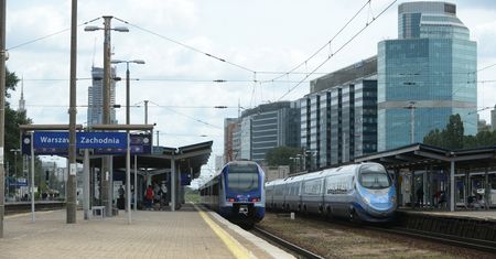 Warszawa. PKP PLK chce wyciąć 3200 drzew, a posadzić jedynie kilkadziesiąt