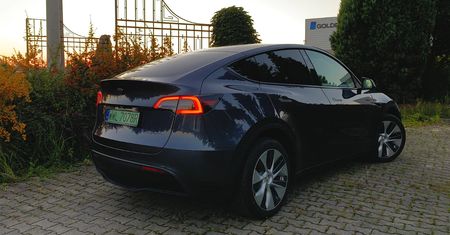 Elektryki popularniejsze niż diesle, ale to dacia wciąż pozostaje królem Europy