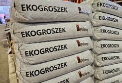 Ukrywał się przed policją od 8 lat. Znaleźli go pod ekogroszkiem