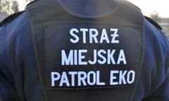 Warszawa. Niespodziewany lot z nieba. Na parking spadła ranna gęś