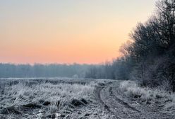 Pogoda. Wrocław. 20 kwietnia - ciepło, ale i deszczowo. Od czwartku gwałtowna zmiana