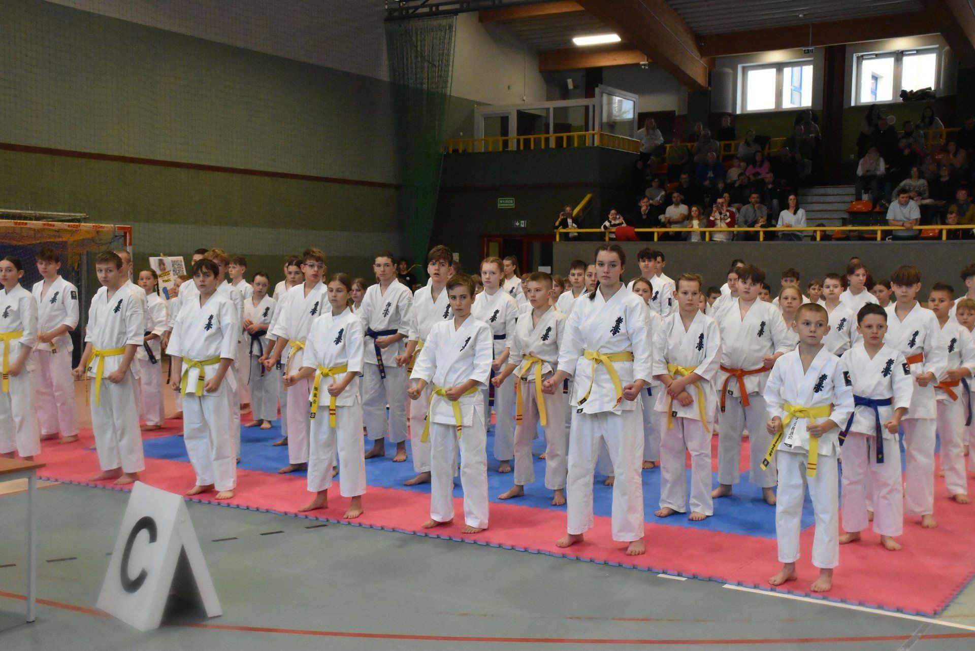 Ostatnie otwarte mistrzostwa Malborka w karate