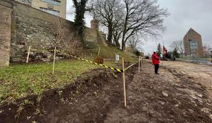 Wykrywacz zapikał w błocie. Archeologiczna perła w Kamieniu Pomorskim