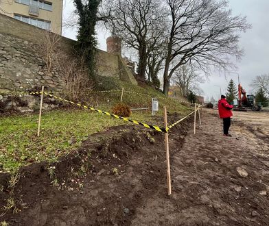 Wykrywacz zapikał w błocie. Archeologiczna perła w Kamieniu Pomorskim