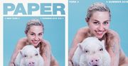 Miley Cyrus też wystąpiła na okładce "Paper"! Lepiej niż Kim?