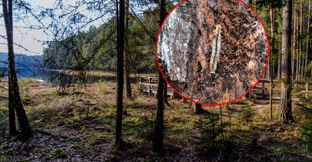 Pokazali zdjęcia z parku narodowego. "Spektakularne odkrycie"