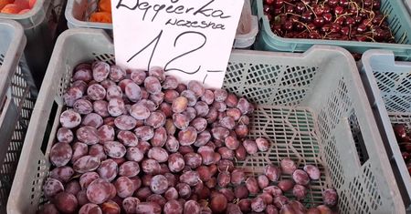Naturalny ratunek dla zapchanych jelit. Zjedz rano, a błyskawicznie poczujesz ulgę