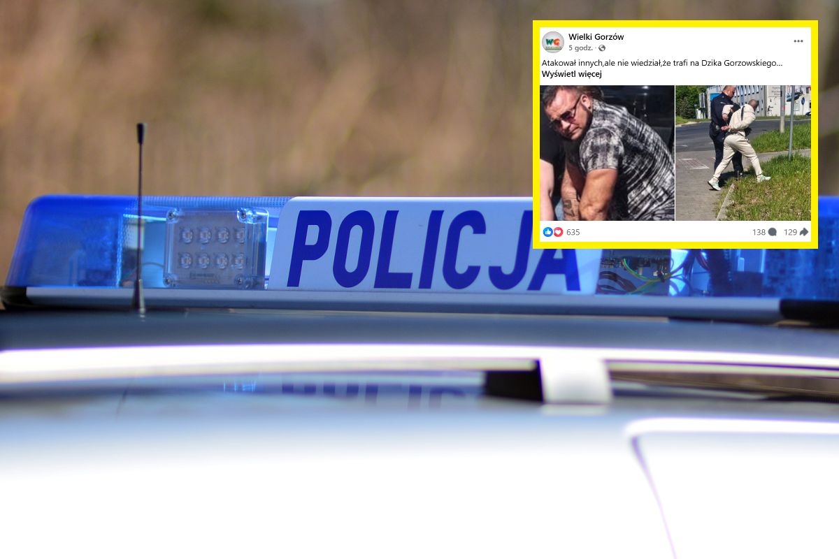 Szokujące sceny w Gorzowie. Do akcji wkroczył zawodnik MMA