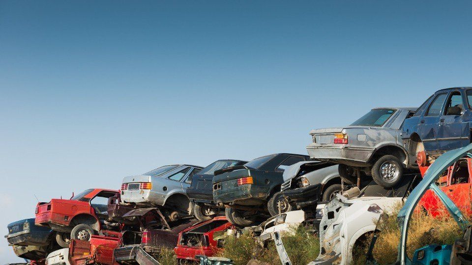 Pow. Gostyński: Policyjny pies pomógł w zatrzymaniu recydywistów