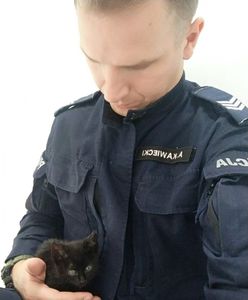 Warszawa. Coś pozytywnego. Policjanci uratowali i znaleźli dom dla małego kotka