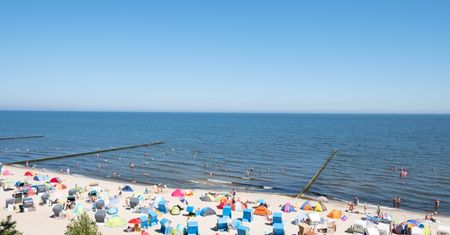 Wakacje 2020. Dzik gonił turystę na nadbałtyckiej plaży. Udostępniono nagranie