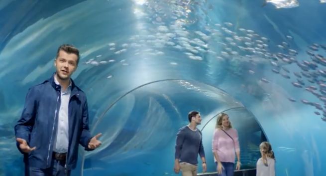 Radosław Kotarski i ławice ryb w reklamie konta Profit w Banku Millennium (wideo)