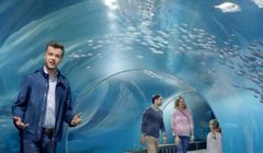 Radosław Kotarski i ławice ryb w reklamie konta Profit w Banku Millennium (wideo)