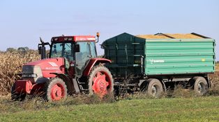 Za te produkty rolnicy dostają nawet 26 proc. więcej niż rok temu