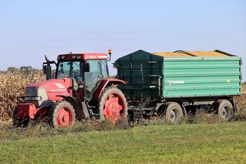 Za te produkty rolnicy dostają nawet 26 proc. więcej niż rok temu