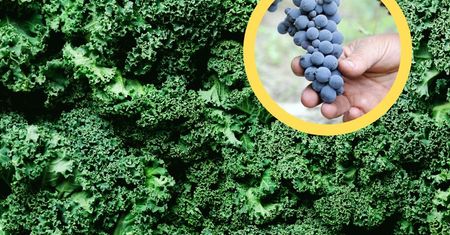 Właśnie zaczyna się sezon. 4 rodzaje wrześniowych superfood