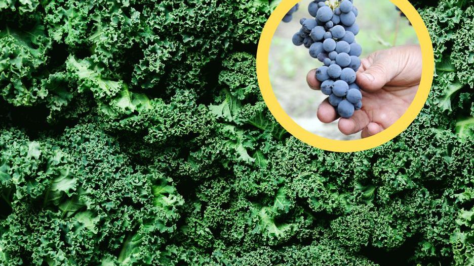 Korzystaj z darów natury