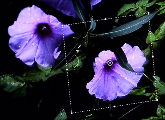 Rewolucja Adobe: nowy Photoshop CC dostępny tylko przez subskrypcję 1