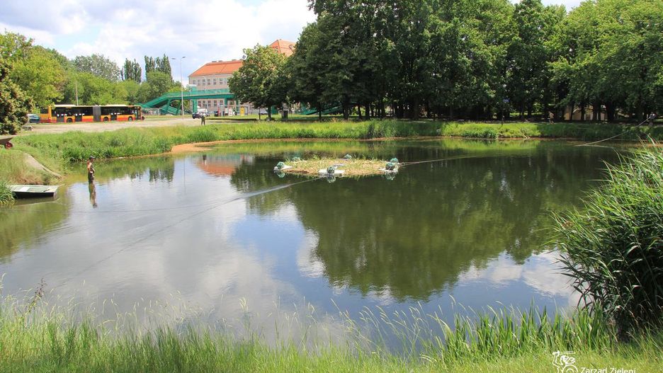 Warszawa dba o wodne zwierzęta
