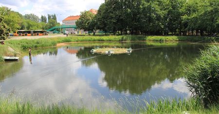 Warszawa. Powstała kolejna wyspa dla chronionych zwierząt