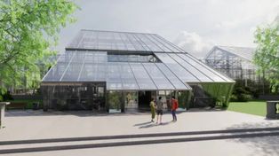 Poznań: Nowe akwarium i taras widokowy. Palmiarnia będzie przebudowana