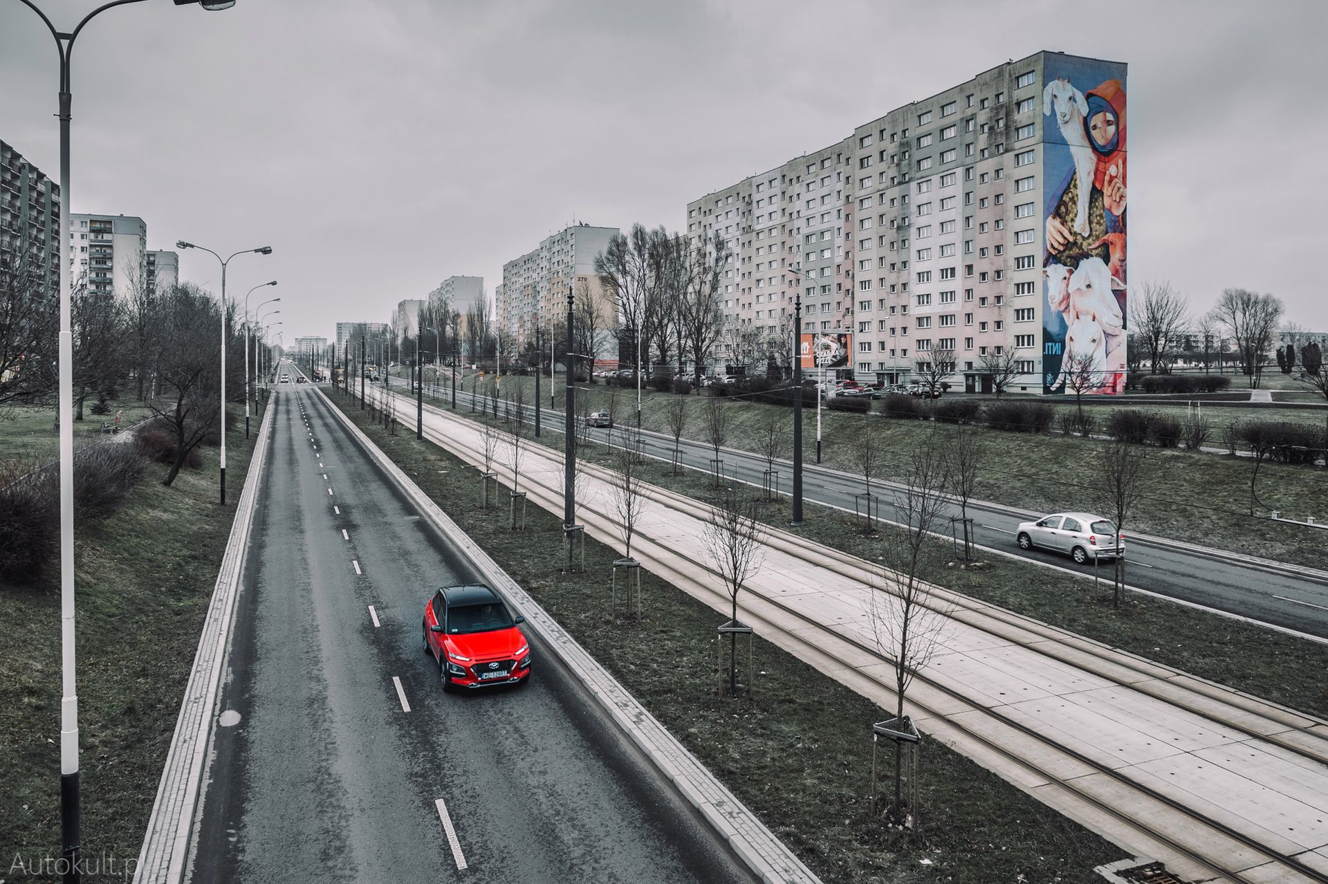 Zdjęcie ilustracyjne do artykułu