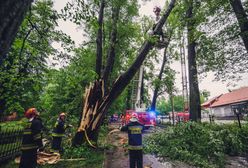 Śląskie. Pracowity weekend strażaków. Interweniowali 317 razy