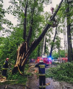 Śląskie. Pracowity weekend strażaków. Interweniowali 317 razy