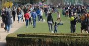 Szczecińska Karta Mieszkańca. Miasto zaprasza do konsultacji