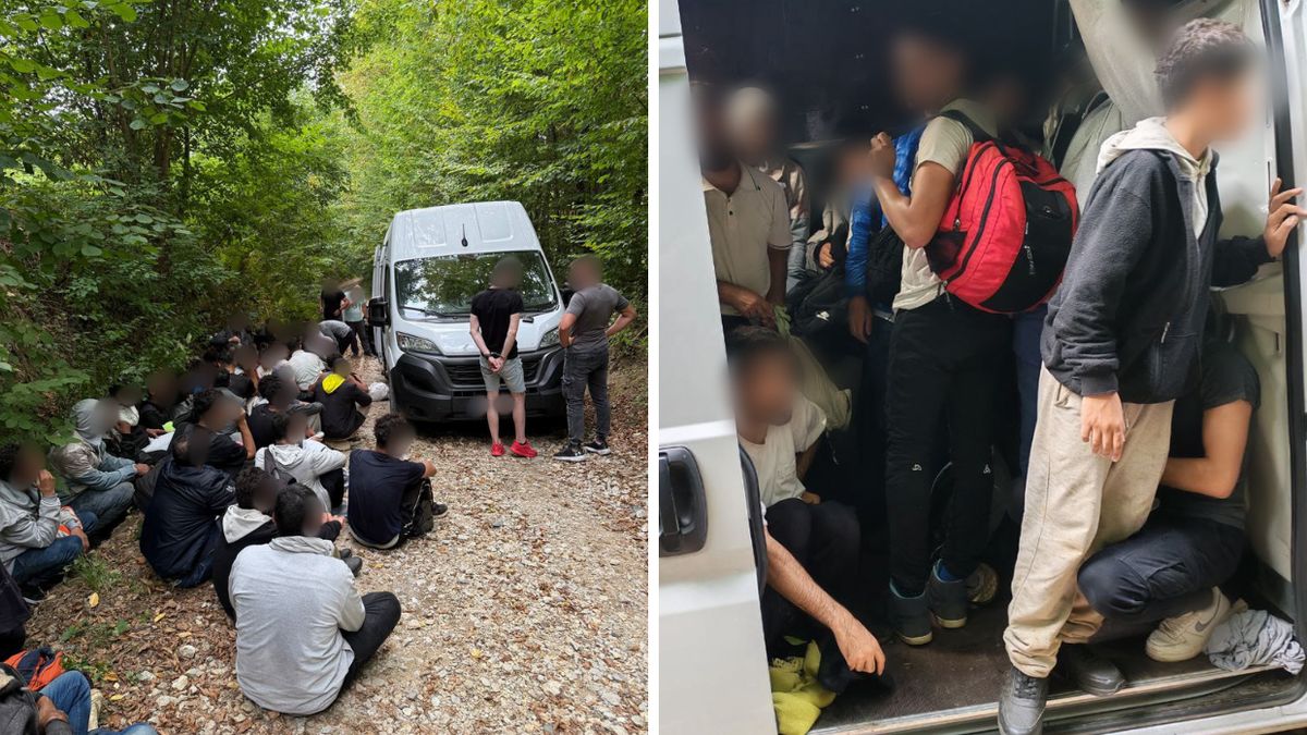 47 imigrantów w busie