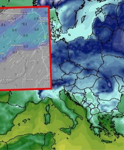 Burze śnieżne, a następnie dwucyfrowy mróz. Do Polski wkracza zima