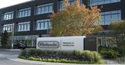 Nintendo w ogniu krytyki pracowników. Szczególnie złe traktowanie kobiet