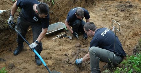 18 szkieletów w lesie. To Niemcy. Badacze proszą o bezpośredni kontakt