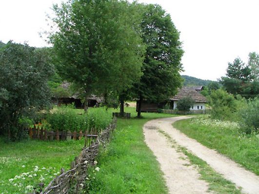 Obraz